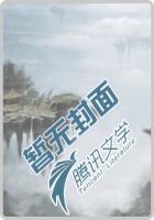 透视小医神