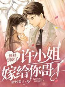 顾总别虐了许小姐嫁给你哥了免费阅读全文