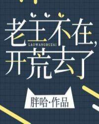 老王不在开荒去了正版