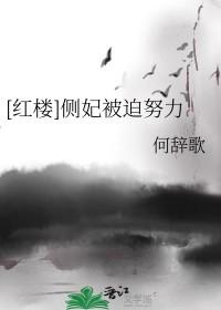侧妃专宠的