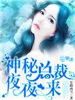 神秘总裁夜夜来全文免费阅读莫离