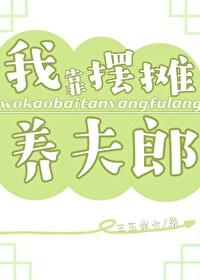 我靠摆地摊买下了一座岛