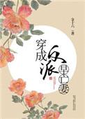 反派早亡的前妻