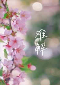 难解难入