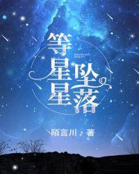 等星星坠落正版