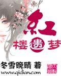 迷男 红楼遗梦