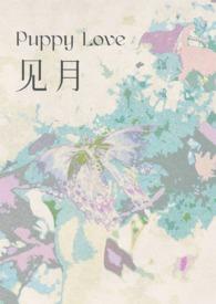 见月txt资源