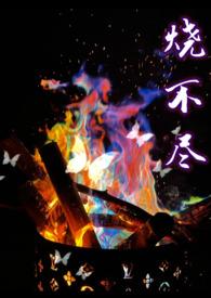 烧不尽主角名字