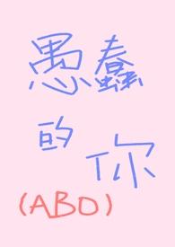 愚蠢的见解