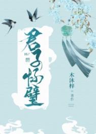 君子怀璧danmei