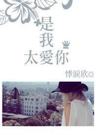 是我太过太爱你