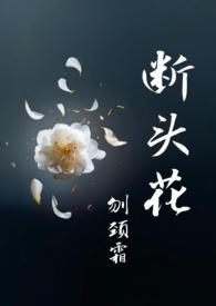山茶花的花语和寓意断头花