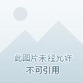 全民领主我的亡灵骷髅亿亿万在哪里