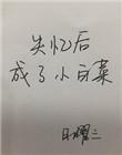 失忆后成了小白菜全文无弹窗