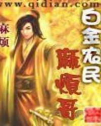 白金农民麻烦哥txt
