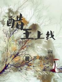 醋王上线全集观看