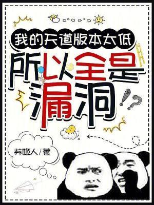 所以全是漏洞完整版免费