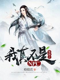 我真不是NPC天命王侯免费阅读