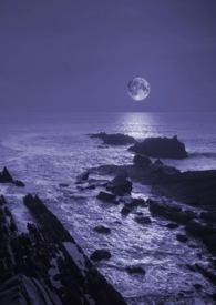 暗夜官网