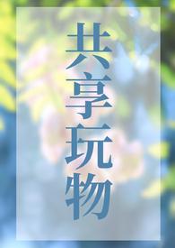 共享玩物(n)笔趣阁弹窗