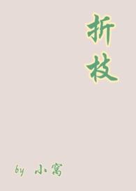 折枝是he吗