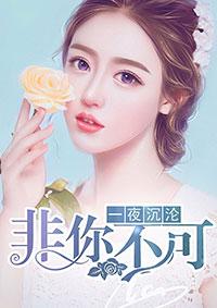 一夜沉婚在线阅读