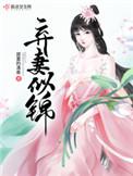 弃妻似锦2k