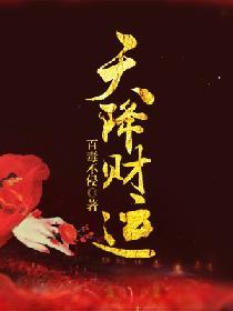 天降财运免费阅读