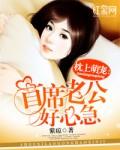 首席老公宠不停