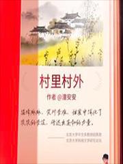 村里村外怎么样