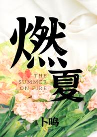 燃全文免费