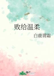 败给温柔txt番外