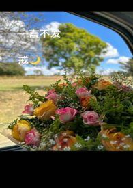 一言不发的意思是啥