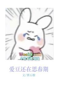 爱豆by