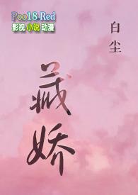 藏娇现代言情晋江