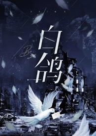 白鸽作品