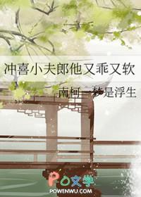 冲喜小夫郎当书网