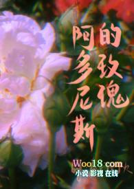 阿多尼斯诗
