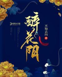 醉花阴歌曲