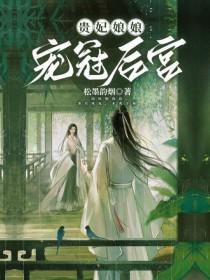 贵妃娘娘是谁