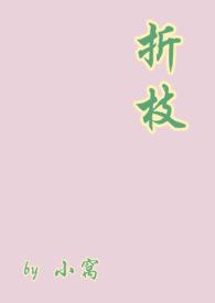 折枝的攻是谁