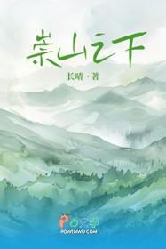 崇山谪去