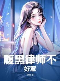 腹黑律师爱上我