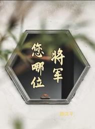 将军你什么意思