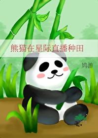 熊猫饲养员穿越星际当直播的