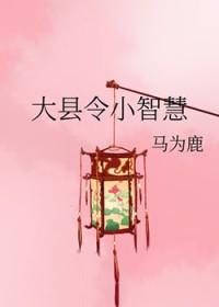 大县令小仵作完整版