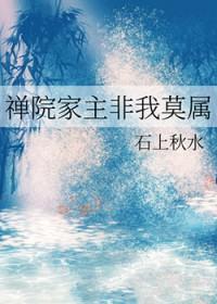 禅院家关系