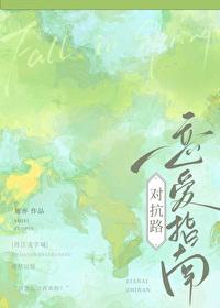 对抗路攻略