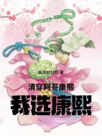 清穿康熙大阿哥