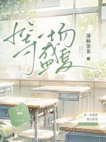等一场盛夏TXT